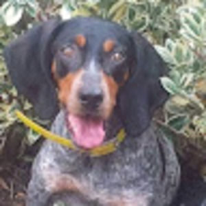 Meet your Posher, Peyton